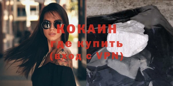 сатива Касимов