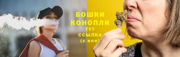 сатива Касимов
