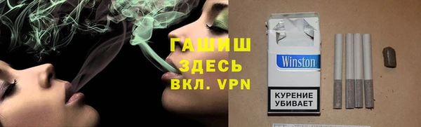 мдпв Каменка