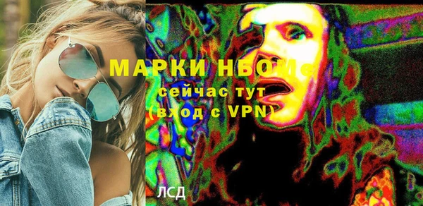 мдпв Каменка